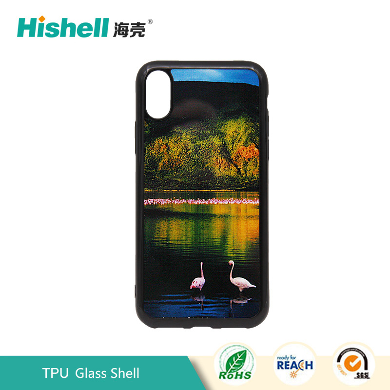 TPU Glass Case for iPhone X