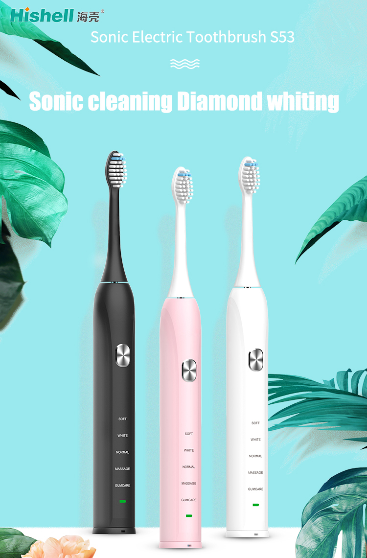 Replaceable Brush Head Waterproof Sonic Vibration Electric Toothbrushes Manufacturer